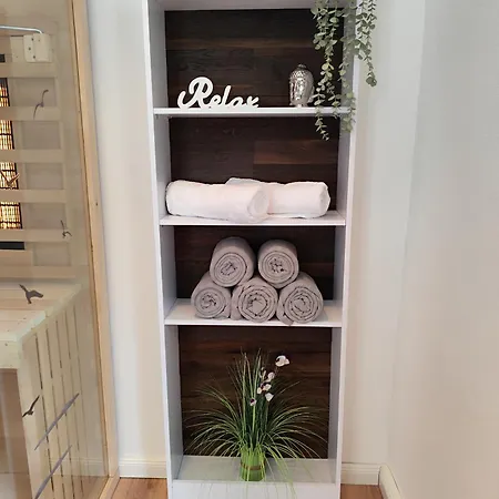 Apartment Apartz - Altstadt - Bis 9 Personen, 3 Sz, Infrarotsauna, Parkplatz, W-lan, Dachterrasse