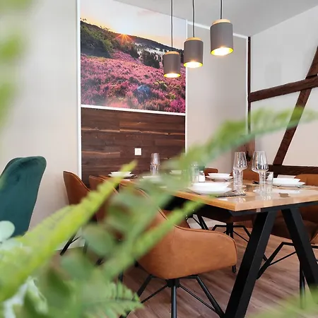 Apartz - Altstadt - Bis 9 Personen, 3 Sz, Infrarotsauna, Parkplatz, W-lan, Dachterrasse