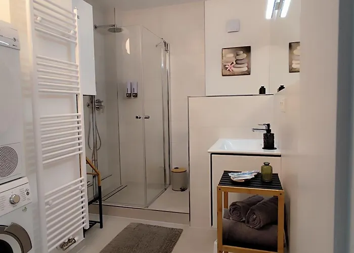 Apartz - Altstadt - Bis 9 Personen Ideal Fuer Familien Und Gruppen, 3 Sz, 2 Baeder, Infrarotsauna, Inklusive Parkplatz, Dachterrasse