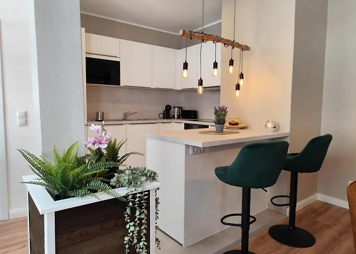 Apartz - Altstadt - Bis 9 Personen Ideal Fuer Familien Und Gruppen, 3 Sz, 2 Baeder, Infrarotsauna, Inklusive Parkplatz, Dachterrasse * Celle