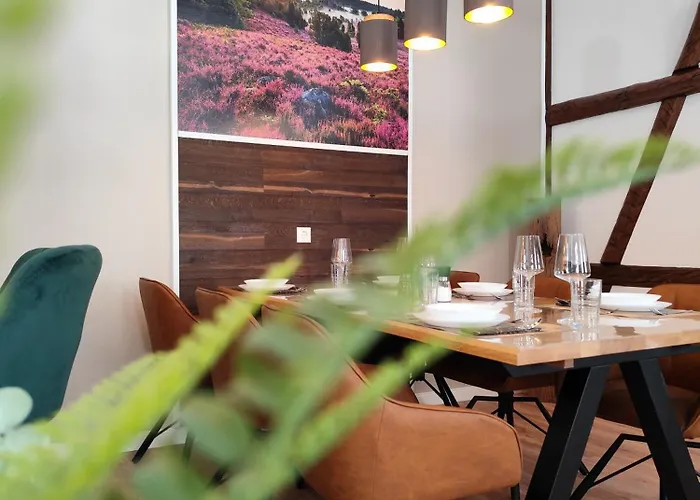 Apartz - Altstadt - Bis 9 Personen Ideal Fuer Familien Und Gruppen, 3 Sz, 2 Baeder, Infrarotsauna, Inklusive Parkplatz, Dachterrasse