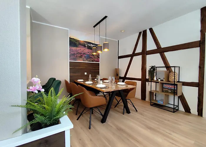 Daire Apartz - Altstadt - Bis 9 Personen Ideal Fuer Familien Und Gruppen, 3 Sz, 2 Baeder, Infrarotsauna, Inklusive Parkplatz, Dachterrasse *